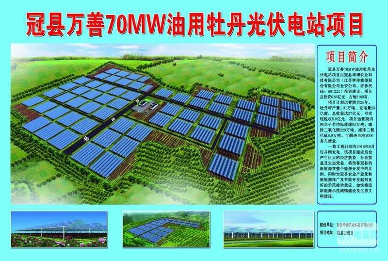 冠縣萬善70MW油用牡丹光伏電站項(xiàng)目圖